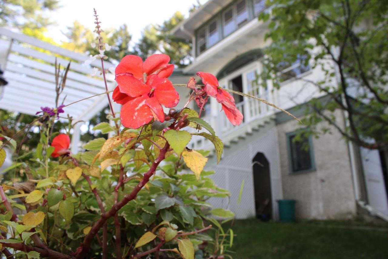 The Hillside B&B. Home W/ Breakfast Service! ウィスコンシン デルズ エクステリア 写真